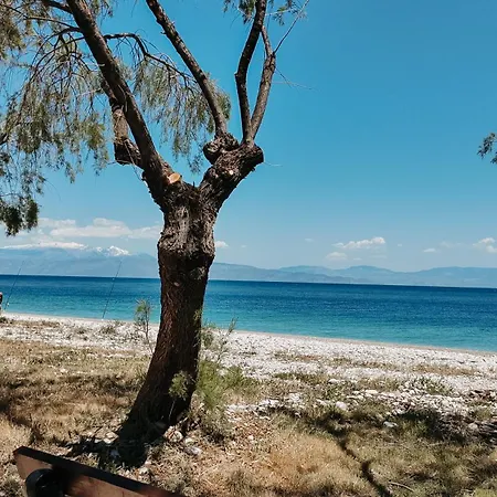 Sea-view In Akrata Nyaraló *