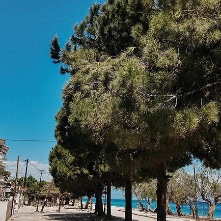 Sea-view In Akrata Nyaraló *